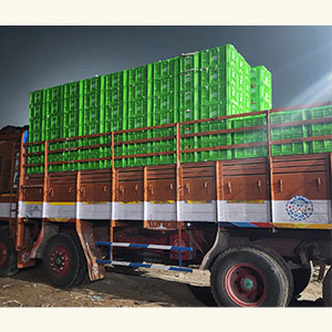 WHOLESALE